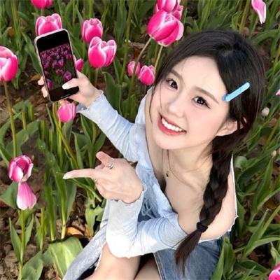 鸽之翼